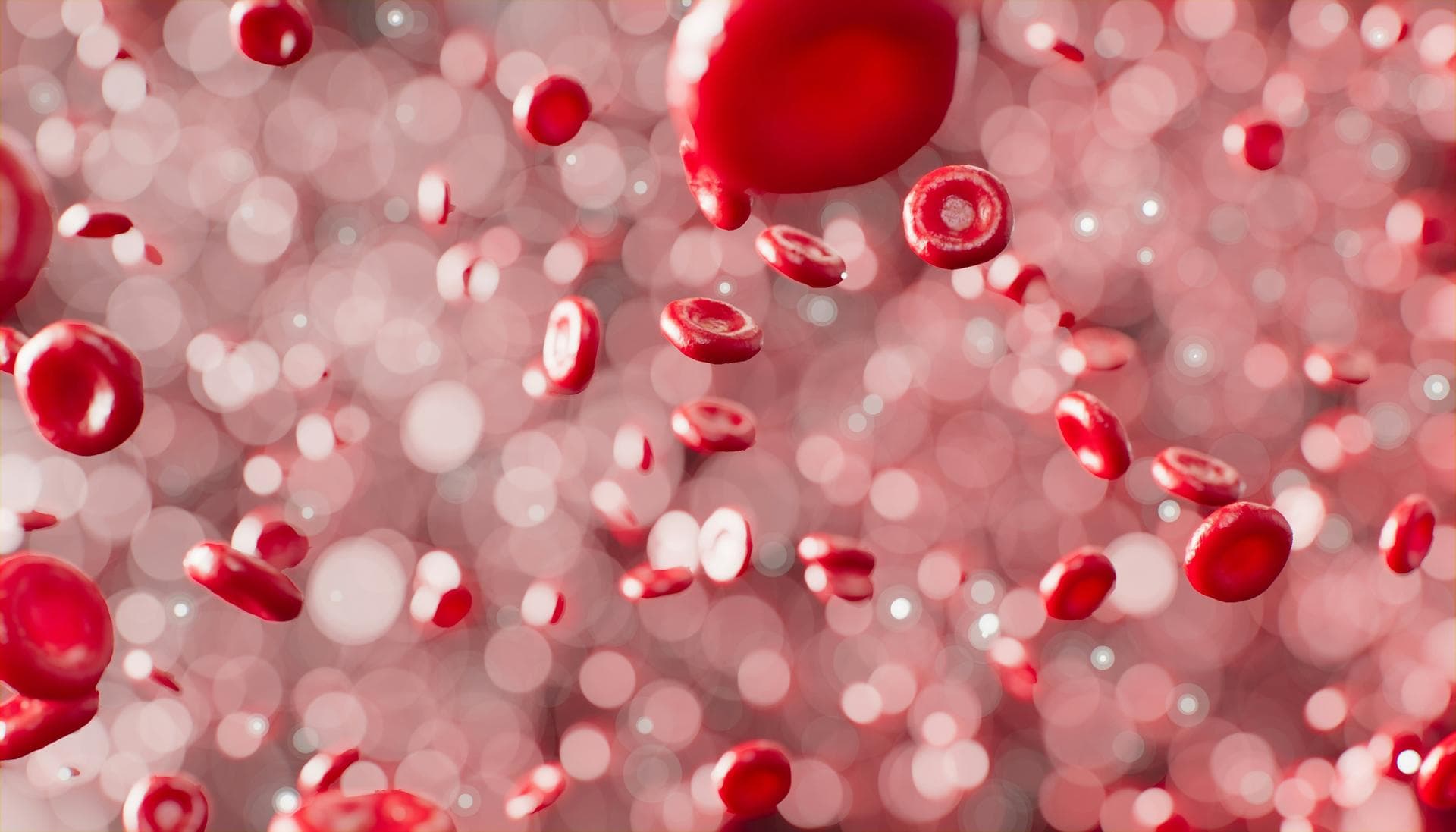 Functional lab panels and blood work at Vivolo Wellness Club in Charlestown, MA